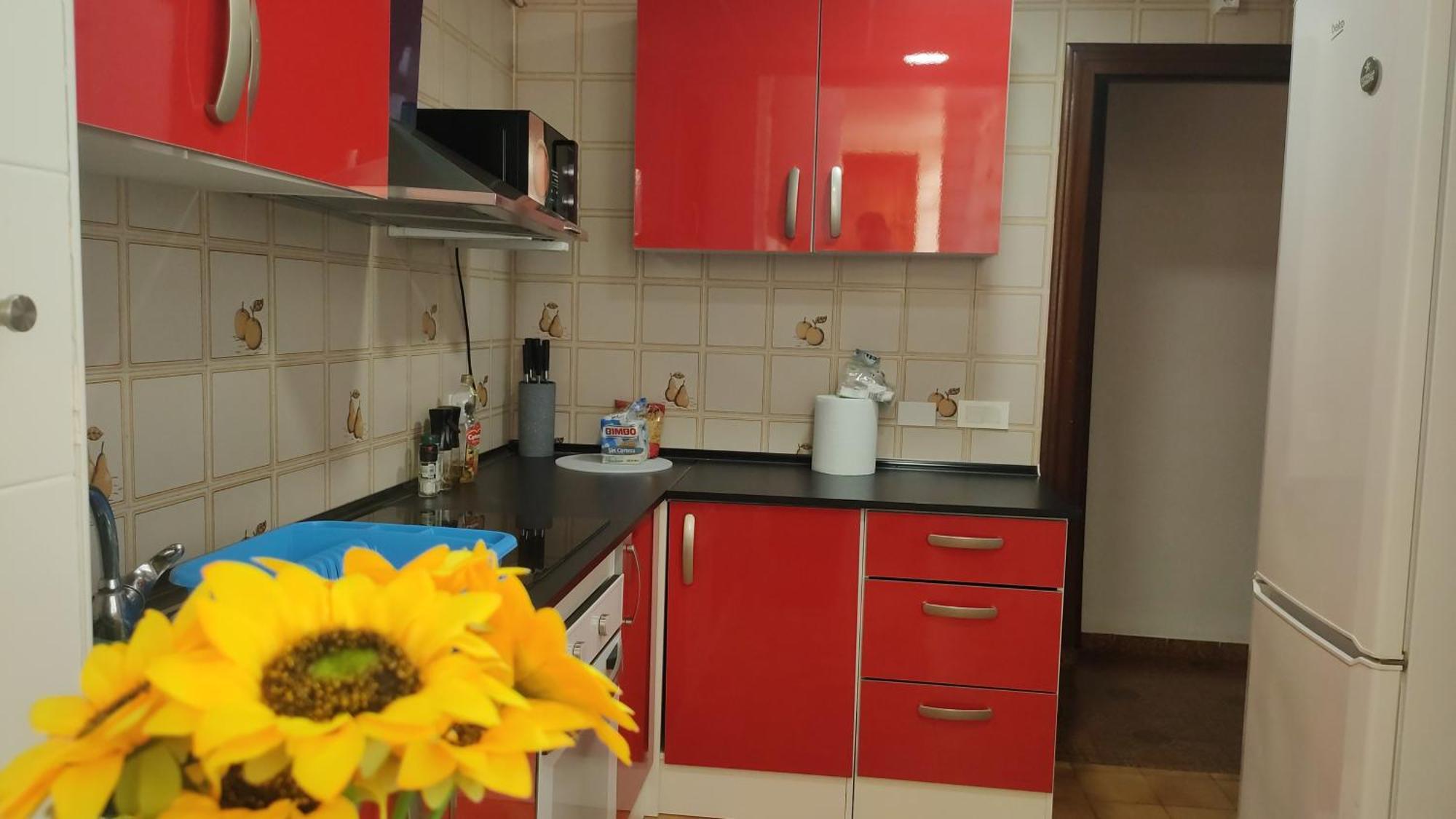 Big Penthouse For 10 Per Apartment Torrevieja Ngoại thất bức ảnh